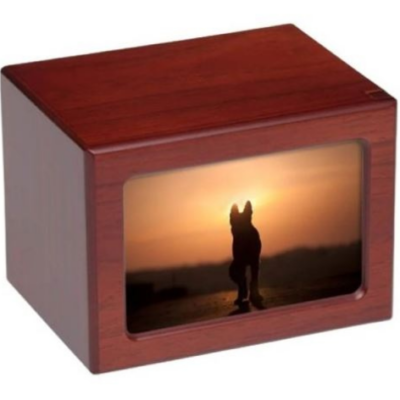 Image for choice number 5